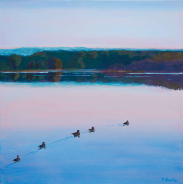 5 Ducks on Lake Gertrude